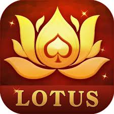 rummy leadrs download